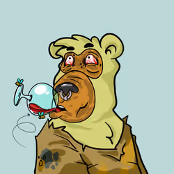 Buzzed Bear #6843