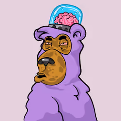Buzzed Bear #9327