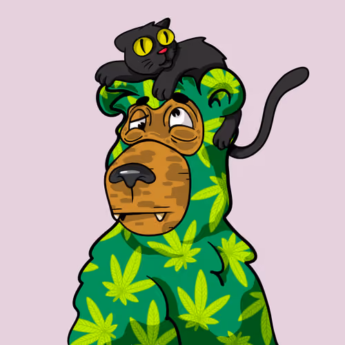 Buzzed Bear #9459