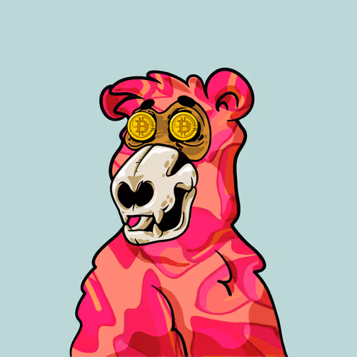 Buzzed Bear #9976