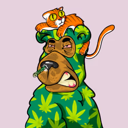 Buzzed Bear #9162