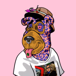 Buzzed Bear #1688