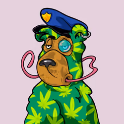 Buzzed Bear #2055