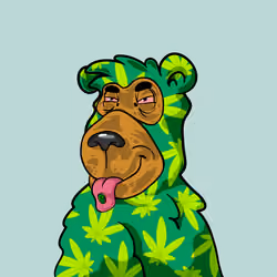 Buzzed Bear #8707