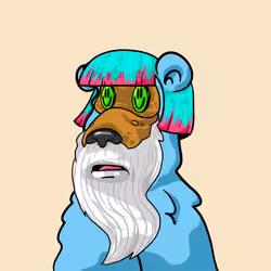 Buzzed Bear #1339