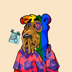 Buzzed Bear #5651