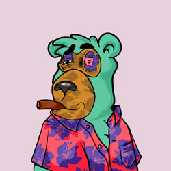 Buzzed Bear #3597