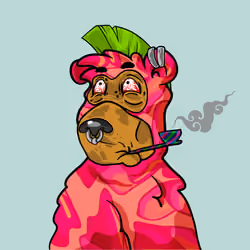 Buzzed Bear #8971