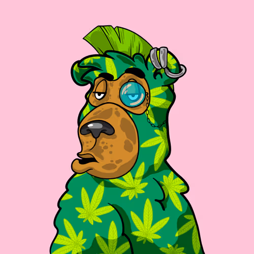 Buzzed Bear #9991