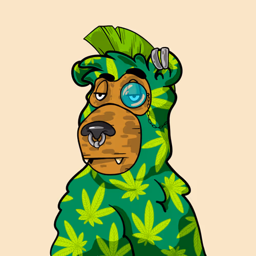 Buzzed Bear #1682