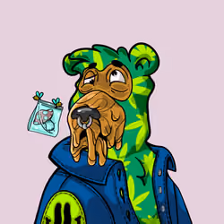 Buzzed Bear #1405