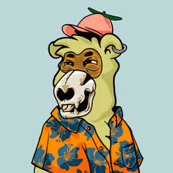 Buzzed Bear #803