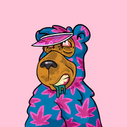 Buzzed Bear #6830