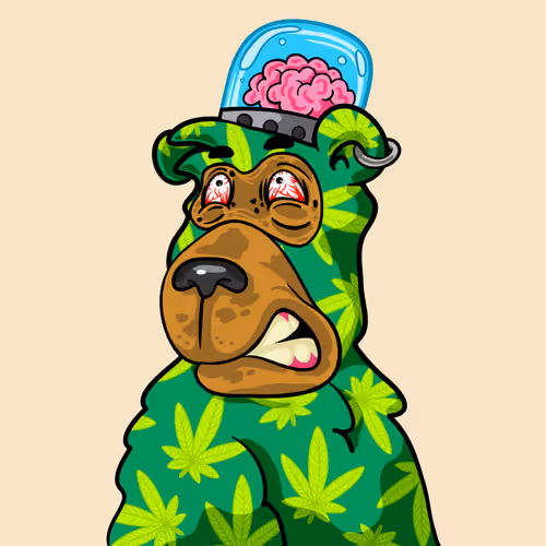 Buzzed Bear #5098