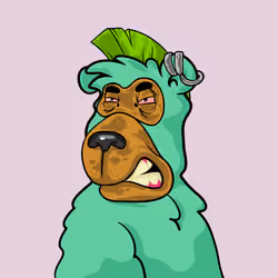 Buzzed Bear #8052
