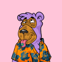 Buzzed Bear #5998