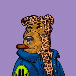 Buzzed Bear #1684
