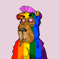 Buzzed Bear #1338