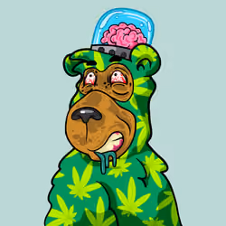 Buzzed Bear #3986