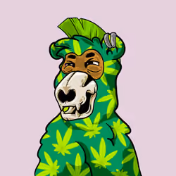 Buzzed Bear #7314