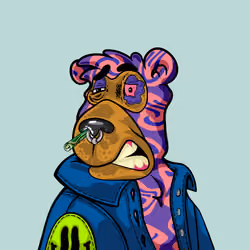 Buzzed Bear #6978