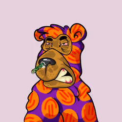 Buzzed Bear #5750