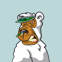 Buzzed Bear #7825