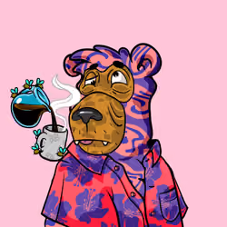 Buzzed Bear #8491
