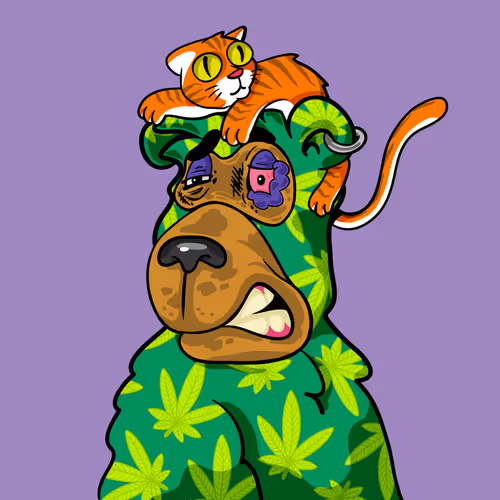 Buzzed Bear #5520