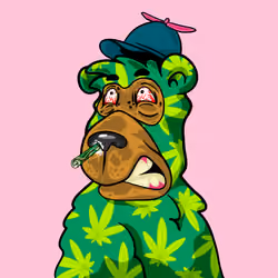 Buzzed Bear #4076