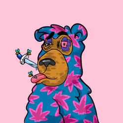 Buzzed Bear #6651