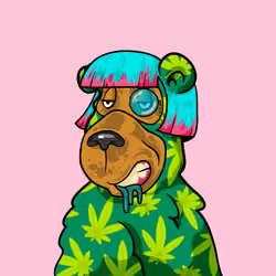 Buzzed Bear #8444