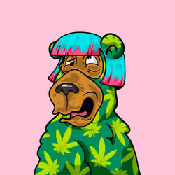 Buzzed Bear #9335