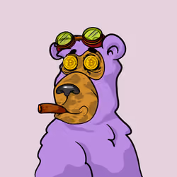 Buzzed Bear #9065