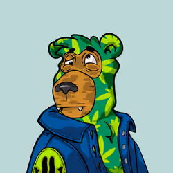 Buzzed Bear #8635