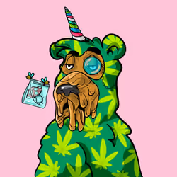 Buzzed Bear #6898