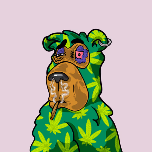 Buzzed Bear #8497