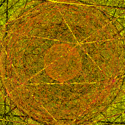 Sun Signals #0564