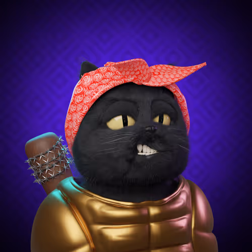 Project Cat #55