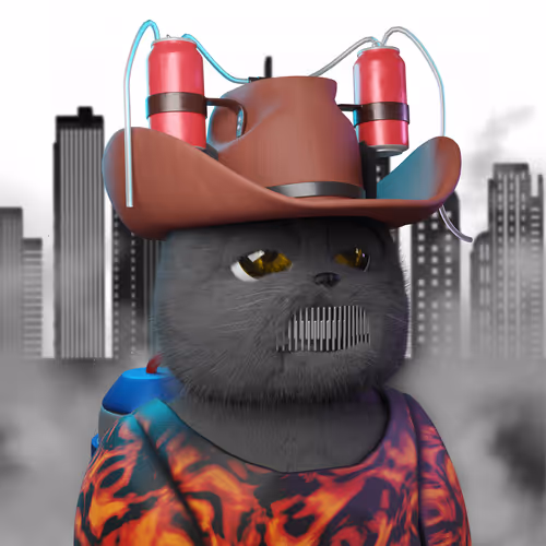 The Project Cats Official