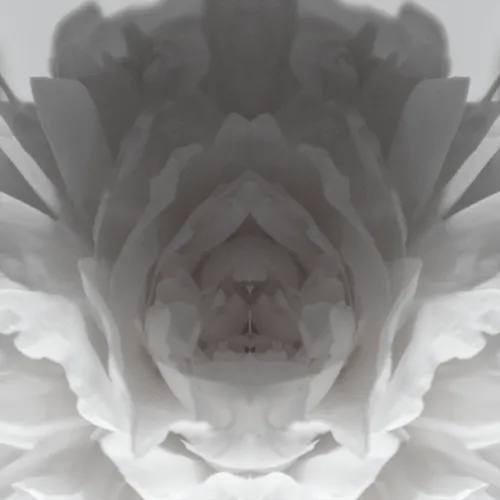Unseen Layers