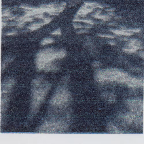 Jon Waltz Reverse
