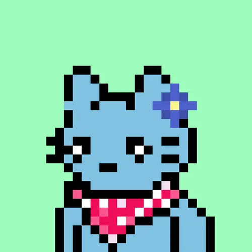 24px