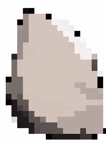 Pixelpocks