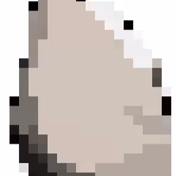 50562066366535347730974782779145061136208370831325416857454343848815210004481