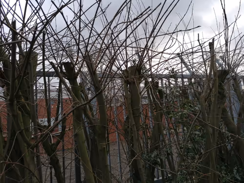 Item #105615228091736436910695968411395425794565690672177444720291627554898519785473 Media