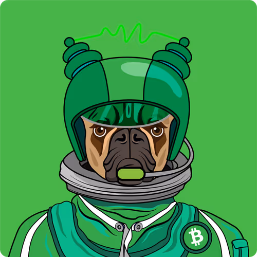 Item #65695530338317565886450650659772509774405274730065055656540856539887997812737 Media