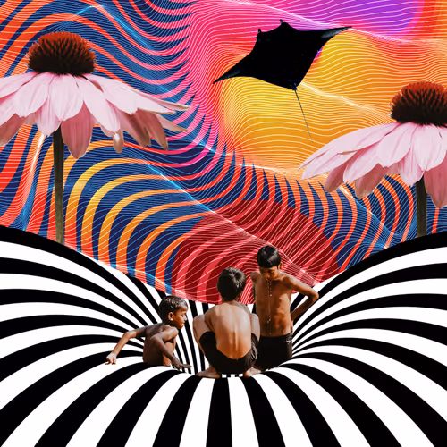 Alive in the Wonderland