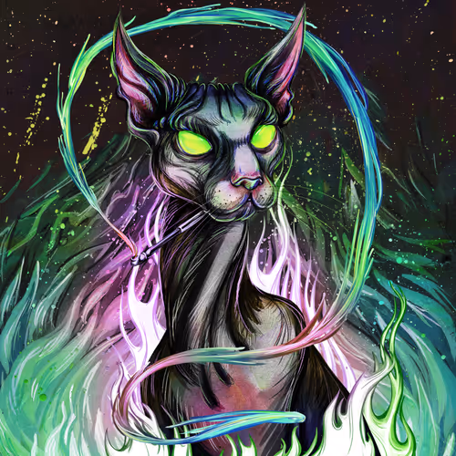 A magician cat.