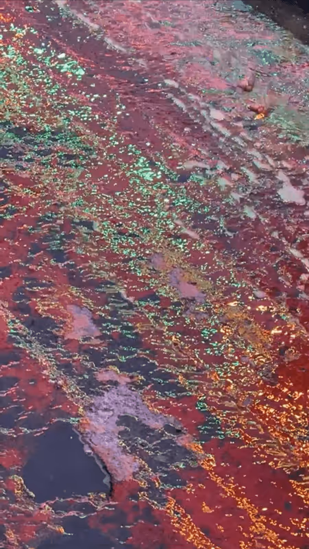 Item #62402000334580523921237358418718502457721815832787791947048085122173271801857 Media